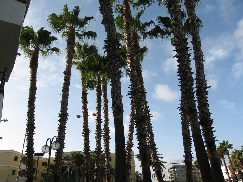 Las Faluas Playa del Ingles  Exterior foto